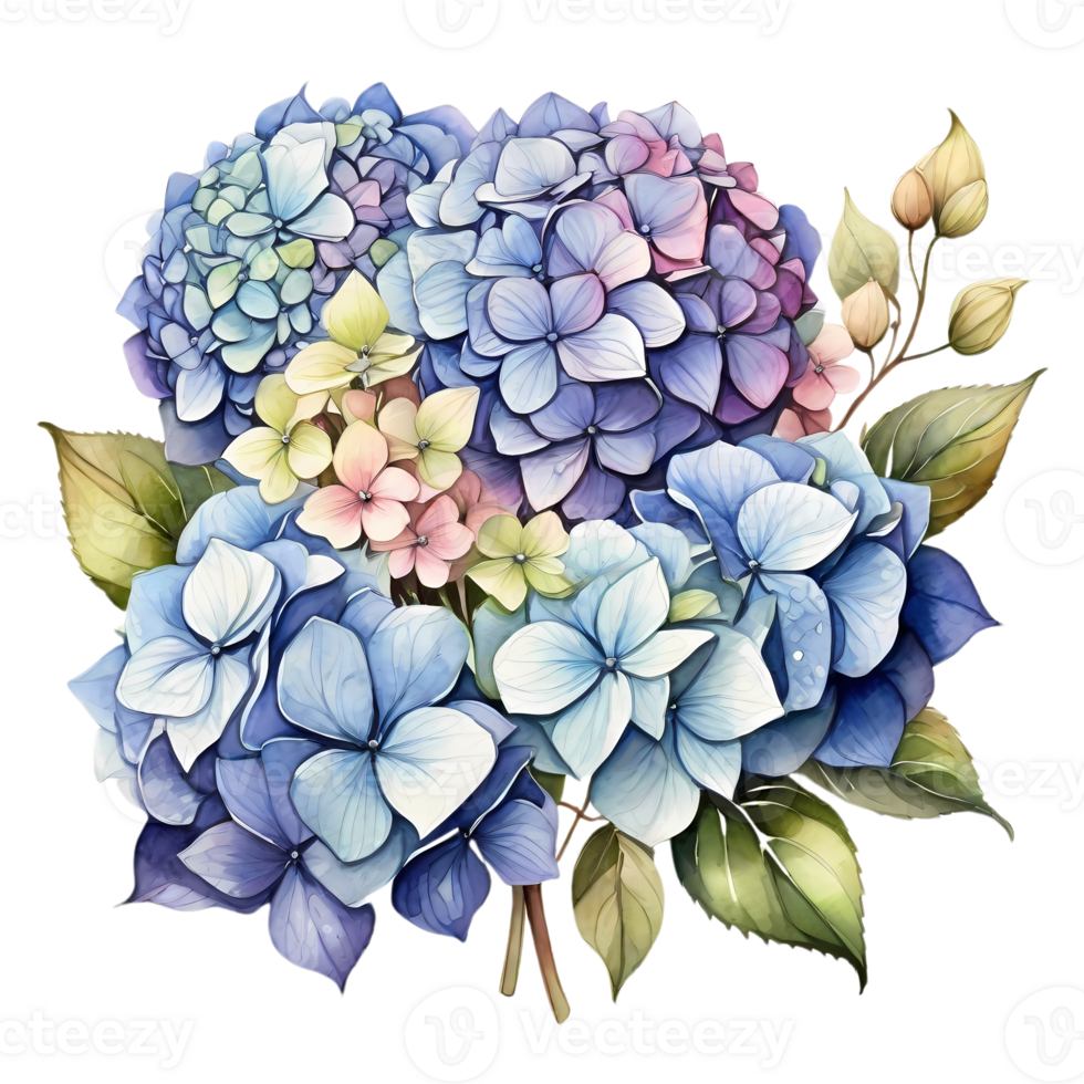 le Naturel beauté de hortensia fleurs sur une transparent Contexte png