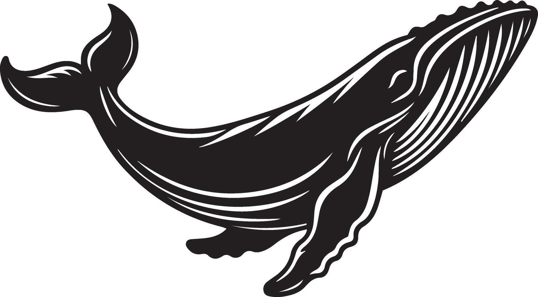 Humpback Whale fish silhouette illustration. vector