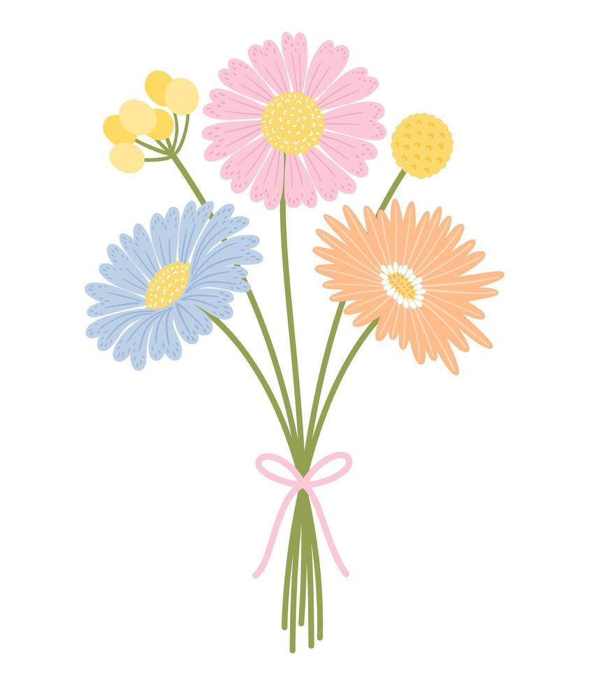 Bouquet with gerbera, aster, marguerite flowers, and herbs. Floral bunch tied with ribbon. Delicate flowers, and wild meadow plants for design projects, illustration vector
