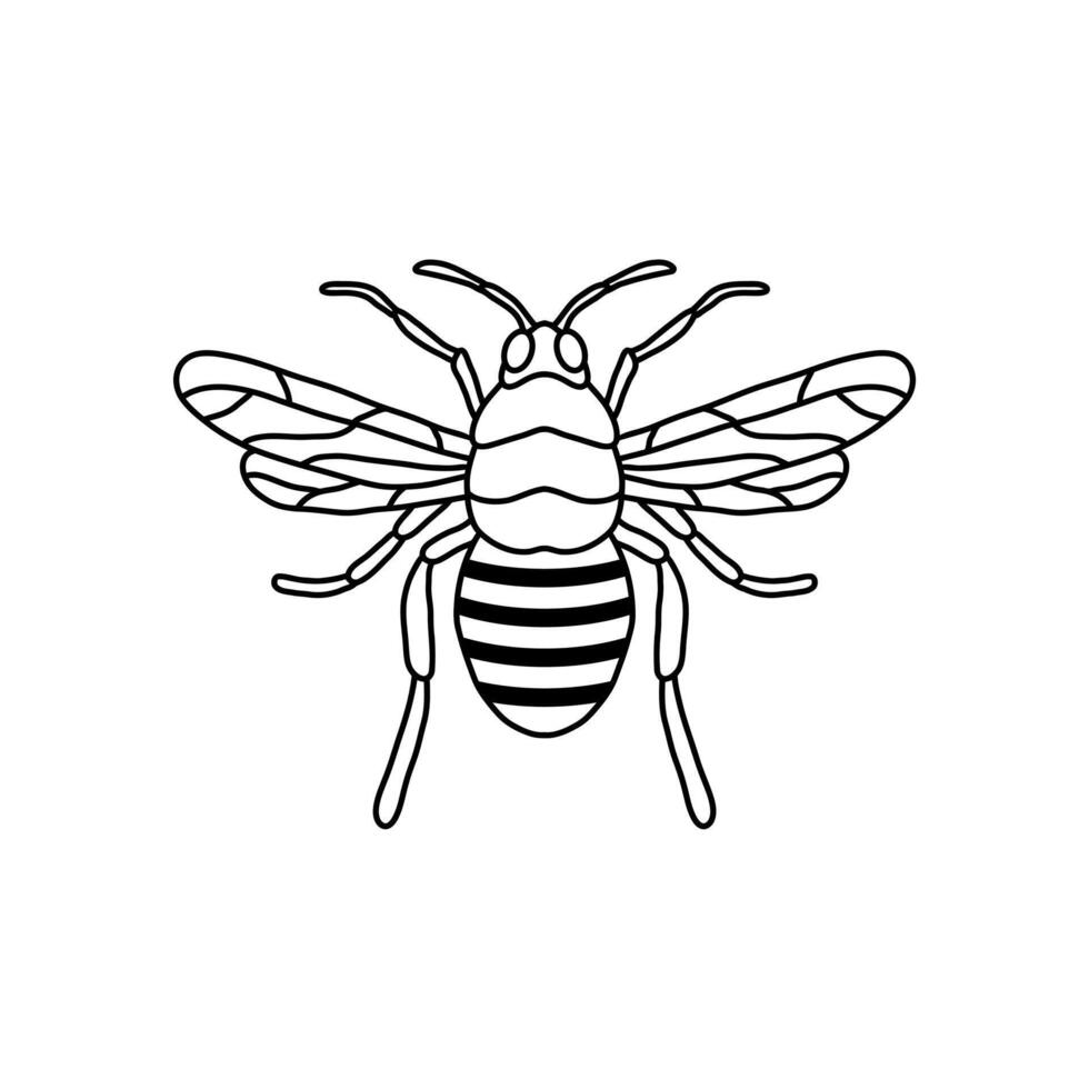 Bee outline black icon. Clipart image isolated on white background. Graphic illustration of insect silhouette drawing for honey products, package, design. vector