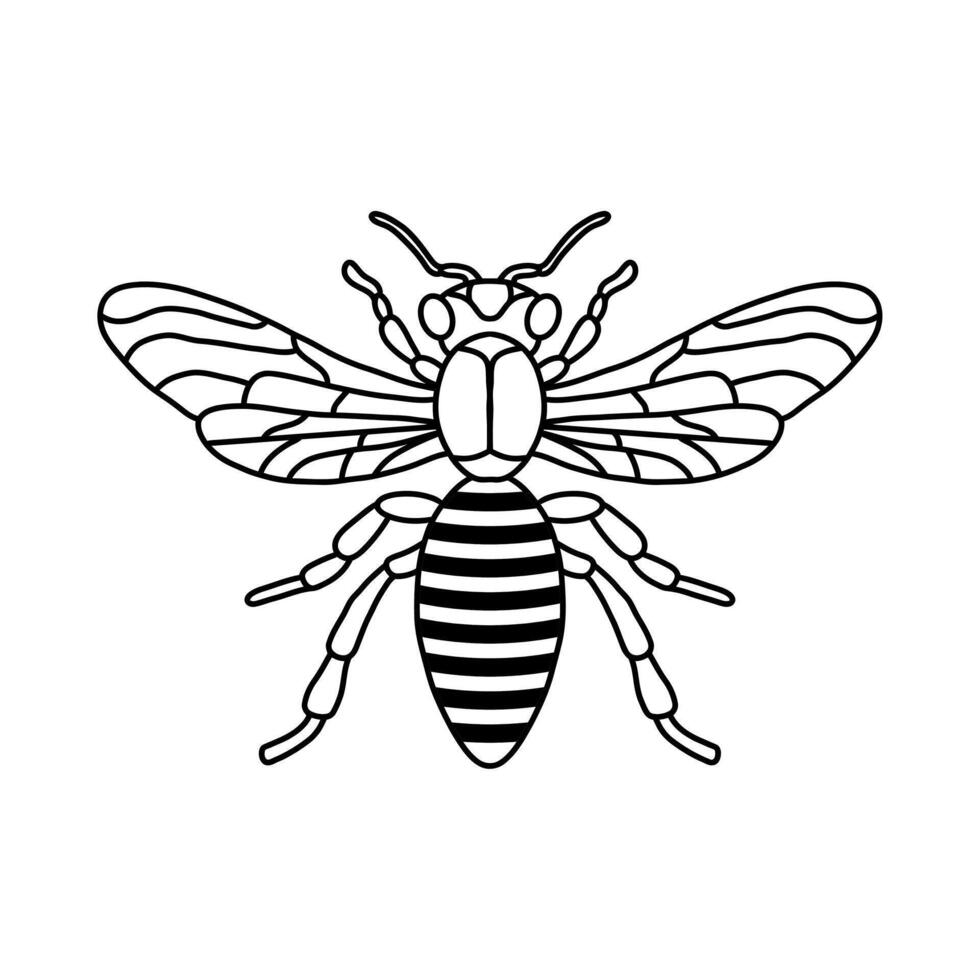 Bee outline black icon. Clipart image isolated on white background. Graphic illustration of insect silhouette drawing for honey products, package, design. vector