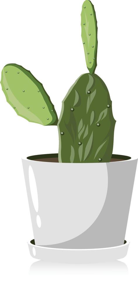 Cactus plant for office illustration vector