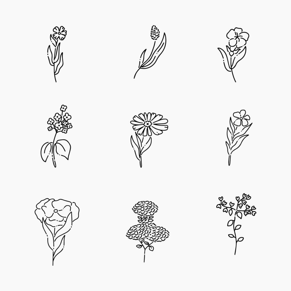 Flower doodle line illustration vector