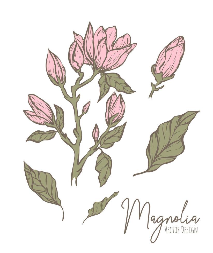 magnolia flor línea ilustración. dibujado a mano contorno contorno de Boda hierba, elegante hojas para invitación salvar el fecha tarjeta. botánico de moda verdor colección para web, imprimir, carteles vector