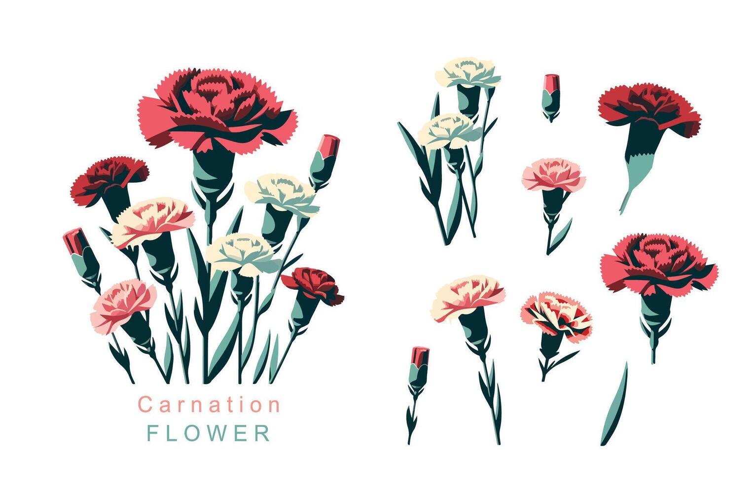 carnation object element.use for mother's day design vector