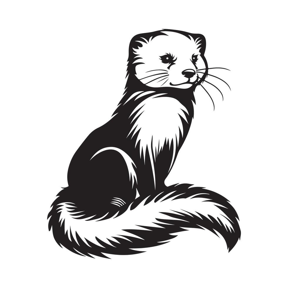 Marten image design. Illustration of a Marten isolated on white vector