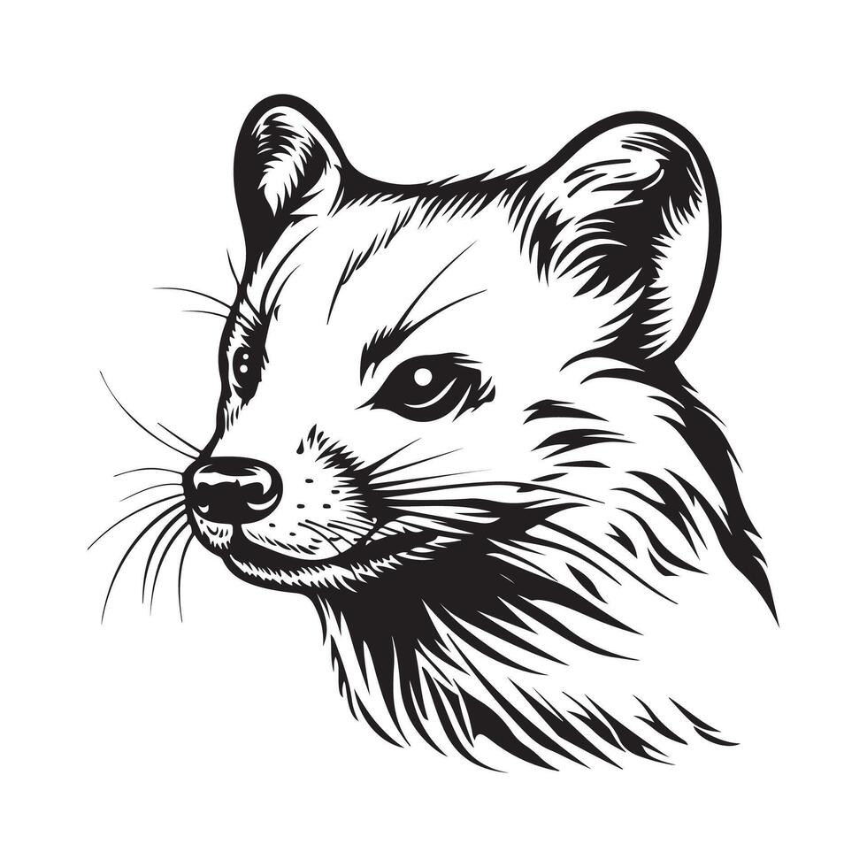 Marten image design. Illustration of a Marten isolated on white vector