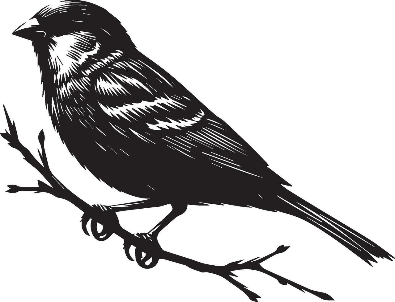 Sparrow silhouette illustration on white background. Sparrow logo. vector