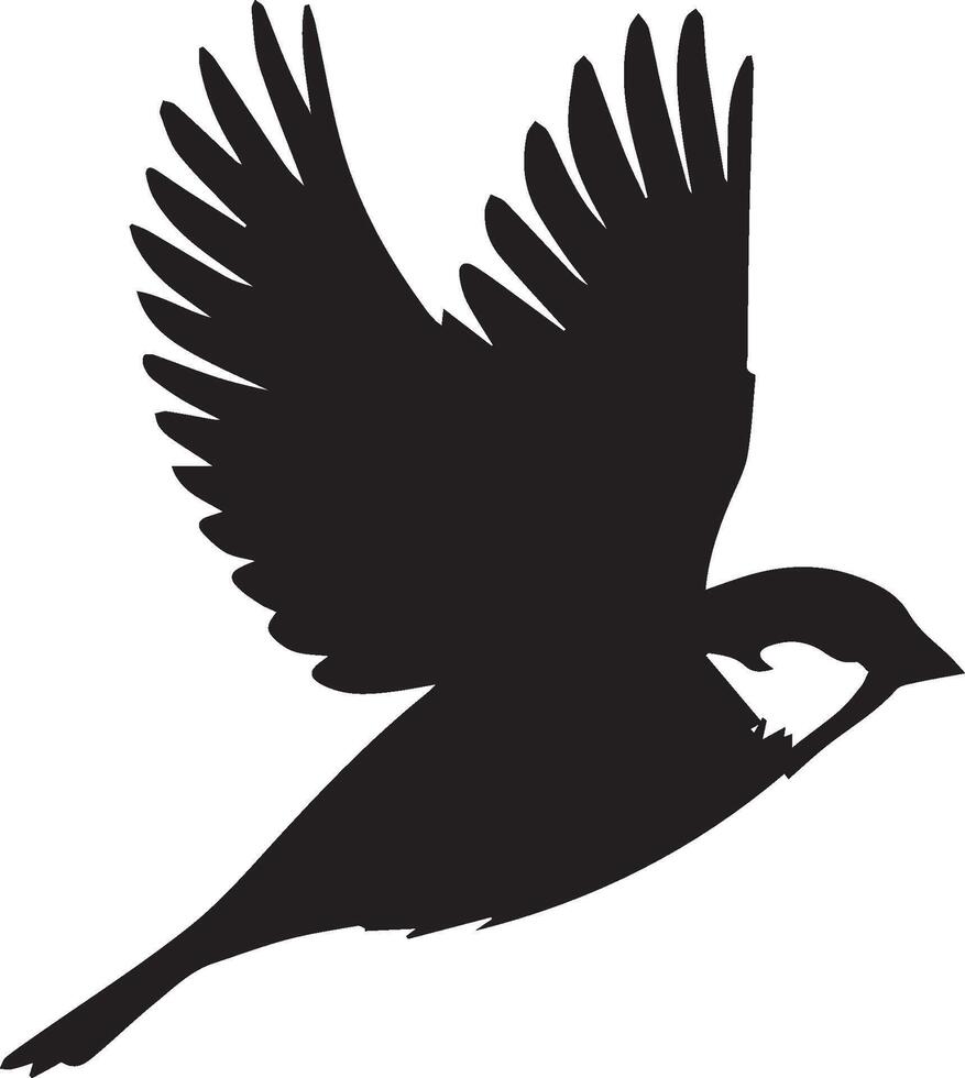 Sparrow silhouette illustration on white background. Sparrow logo. vector