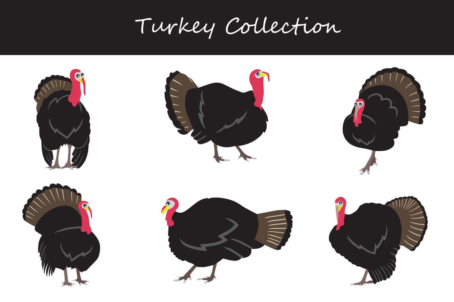 Turkey collection. Turkey in different poses. vector