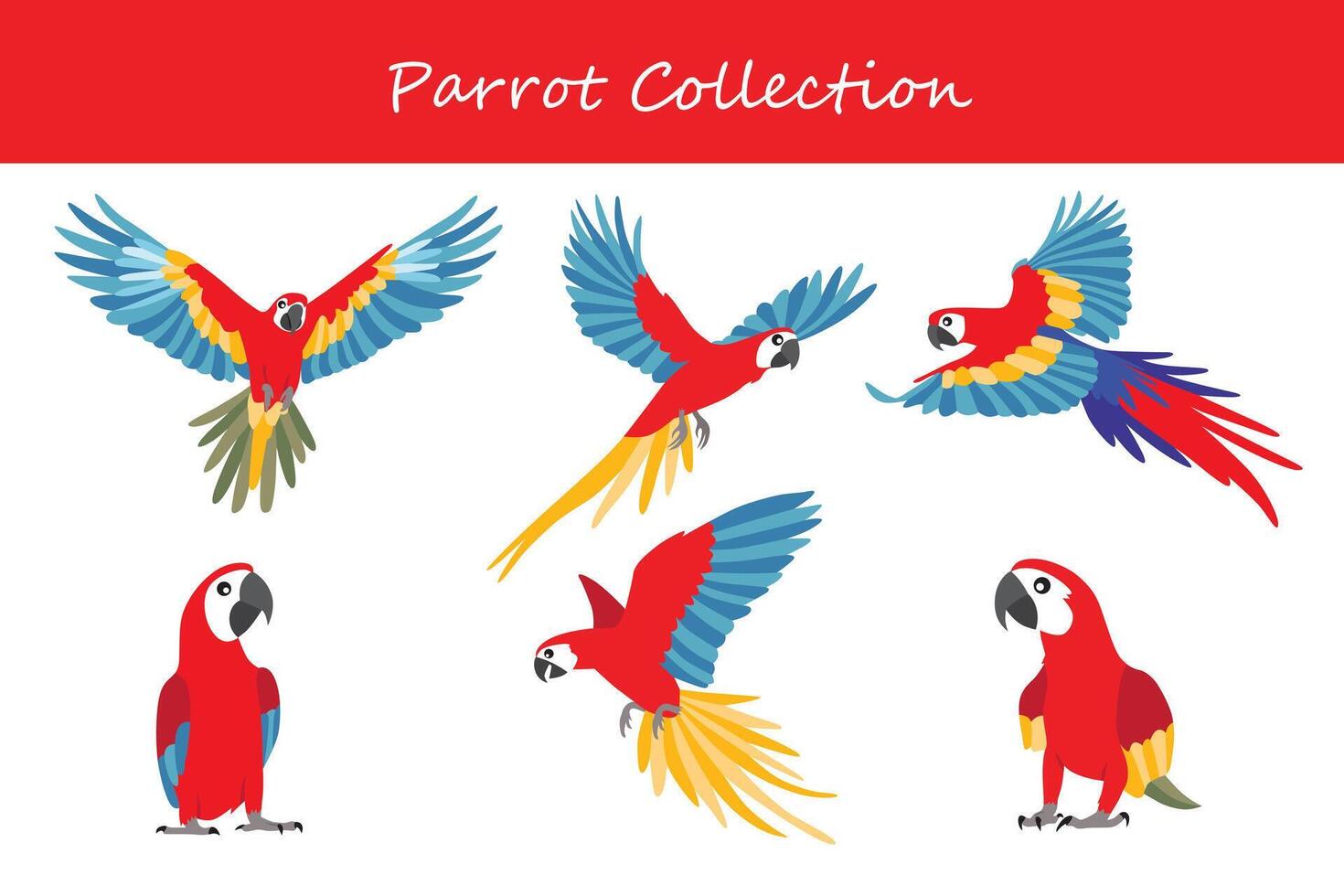 Parrot collection. Parrot in different poses. vector