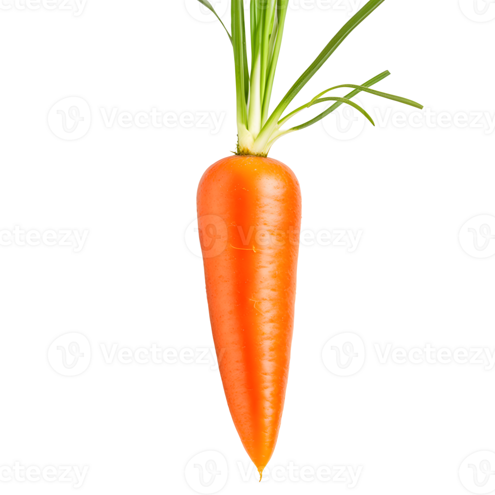 carrot isolated on a translucent background. png