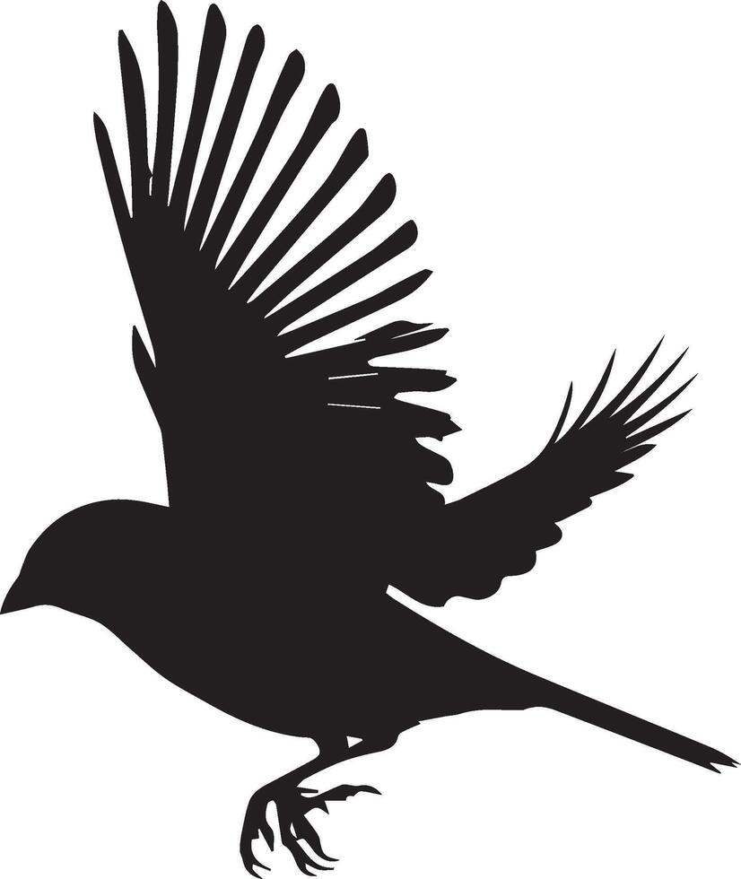 Sparrow silhouette illustration on white background. Sparrow logo. vector