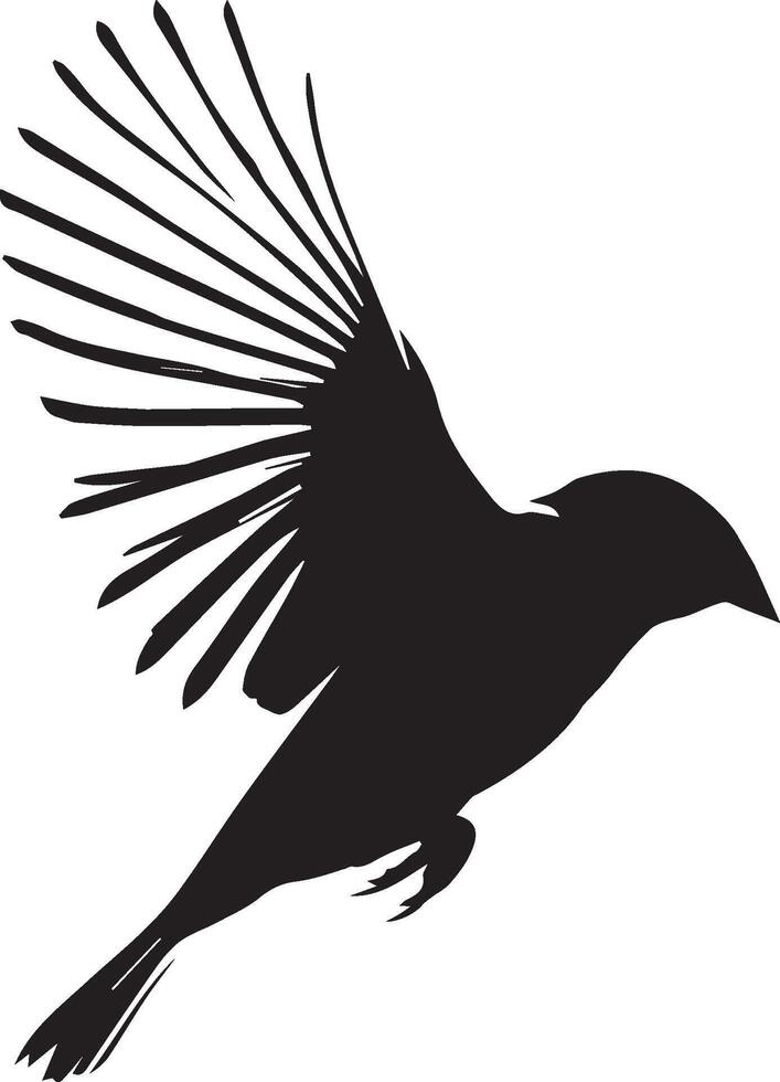 Sparrow silhouette illustration on white background. Sparrow logo. vector