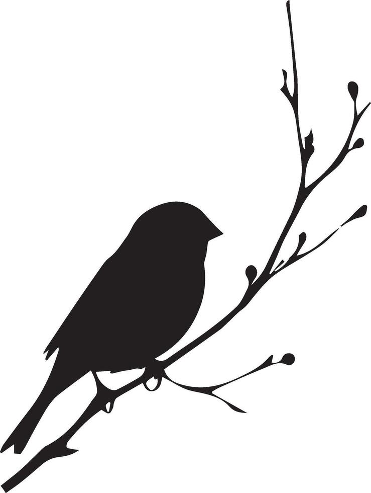 Sparrow silhouette illustration on white background. Sparrow logo. vector