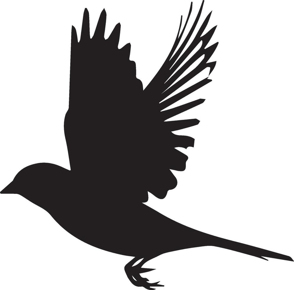 Sparrow silhouette illustration on white background. Sparrow logo. vector