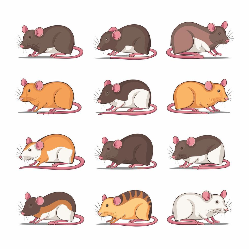 Cartoon mouse set. Grey furry rodent little rat with pink hairless tail walking or sitting isolated on white. illustration for pet, animal, wildlife concept vector