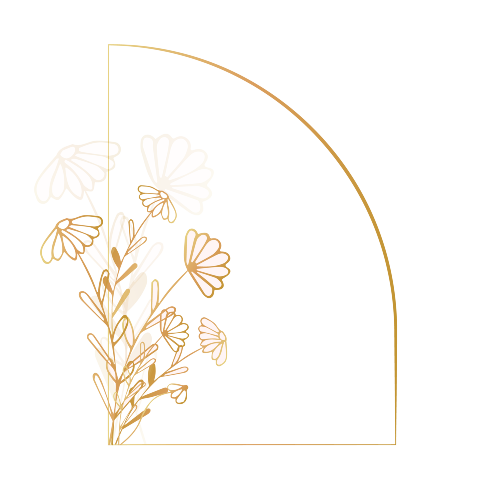 Arch frame with golden daisies, wildflowers, on a transparent background. Calligraphic ornaments and floral frames flourish. Frame of linear floral logos, frames and frames,for social media png
