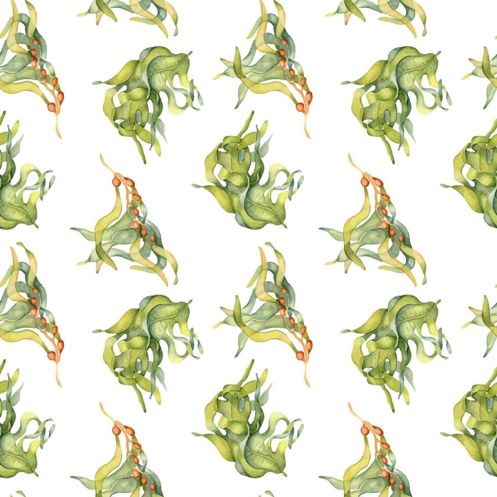 Watercolor seamless pattern of colorful laminaria illustration isolated on white. Kelp, seaweeds hand drawn. Painted algae. Design for background, textile, packaging, wrapping, marine collection. vector
