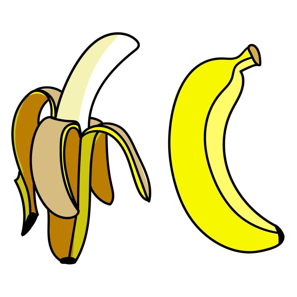 un conjunto de contorneado bananas con el color de abierto y cerrado unos. aislado frutas uno banana, pelado plátano contrastando negro líneas en blanco con amarillo formas fresco, natural vitaminas vector