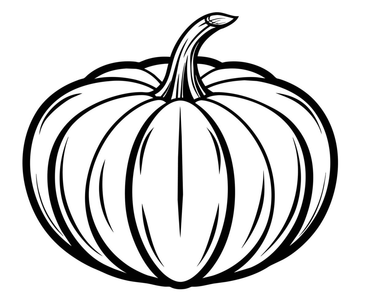 Pumpkin for coloring Line art design vector