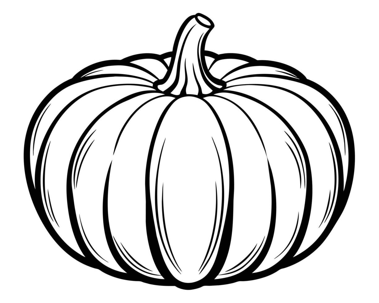 Pumpkin for coloring Line art design vector
