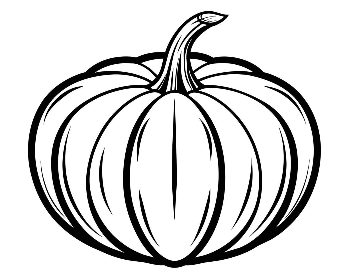Pumpkin for coloring Line art design vector