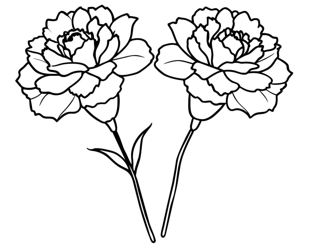 Bouquet of flowers outline vector