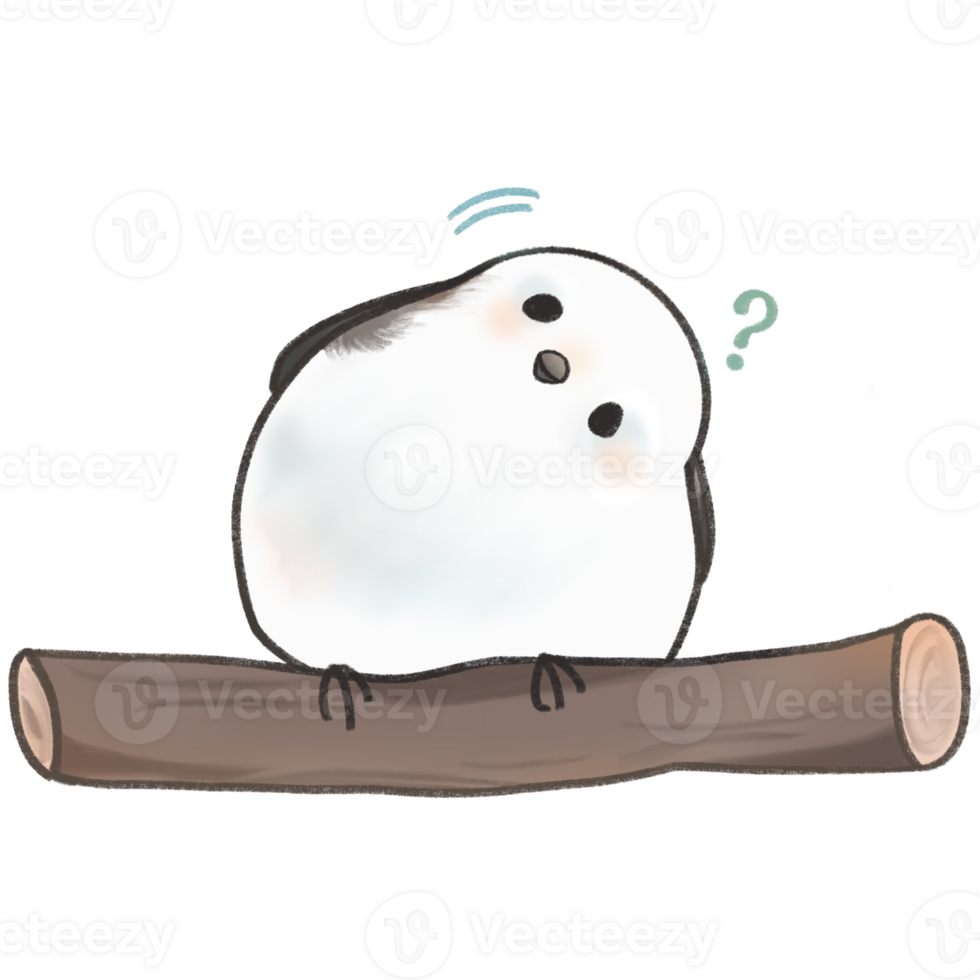 cute white bird on tree branch png