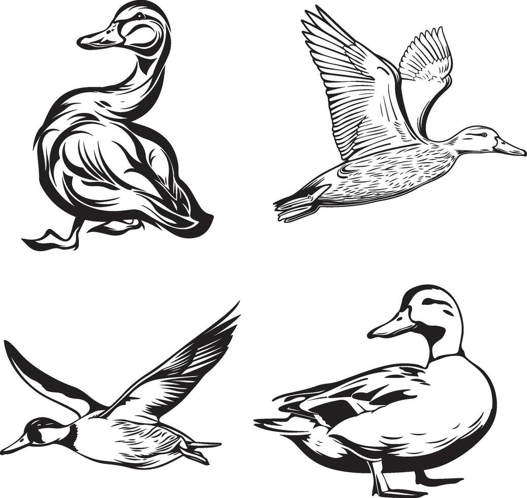 black and white outline of duck vector