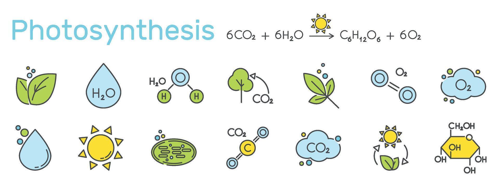 conjunto de color íconos relacionado a fotosíntesis. ecuación, cloroplasto, clorofila, sol, agua, glucosa, azúcar, hoja, planta ilustración. vector