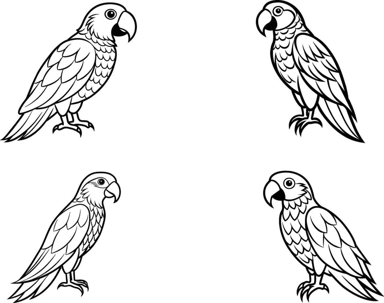 set pack of outline parrot collection illustration isolated in white background vector
