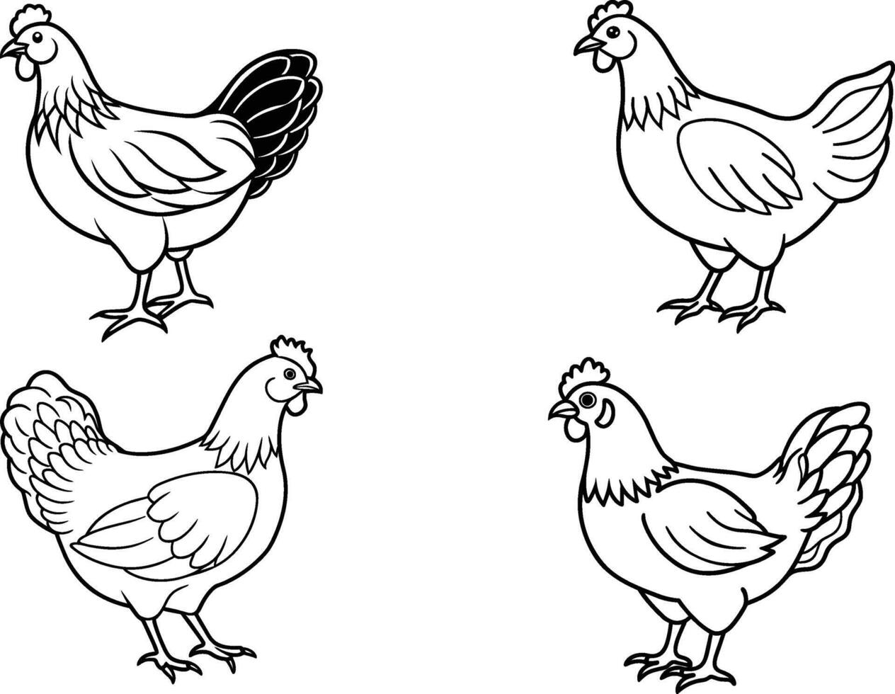 hen outline illustration,isolated on white background,top view vector