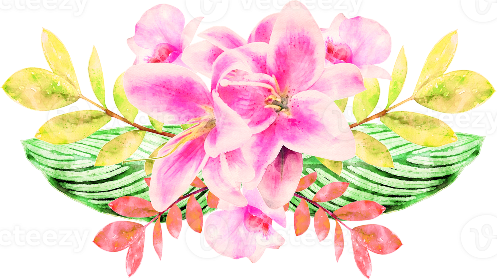 Watercolor Flower Illustration png