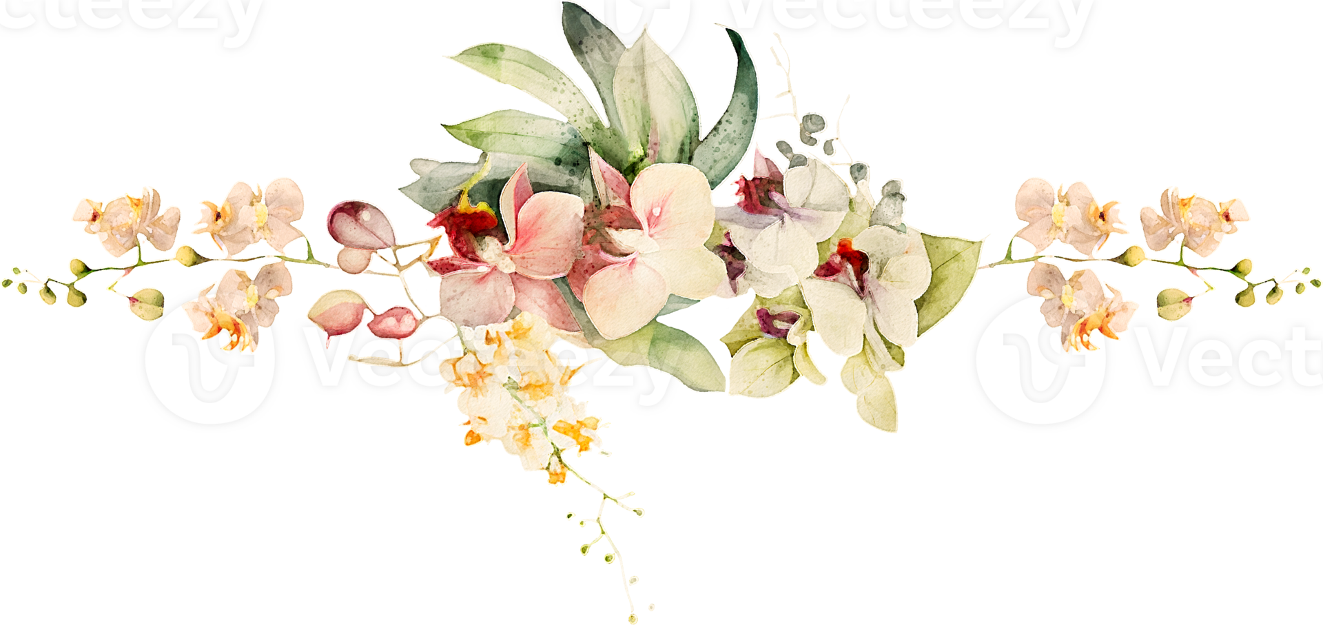 Aquarell Blumenillustration png