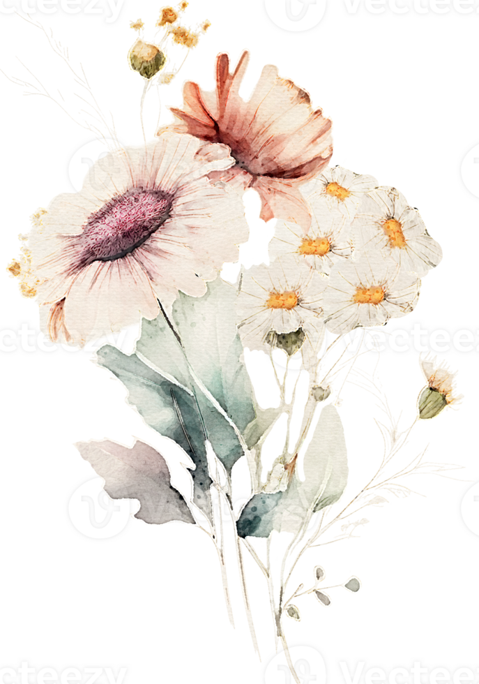 Watercolor Orchid Flower Illustration png