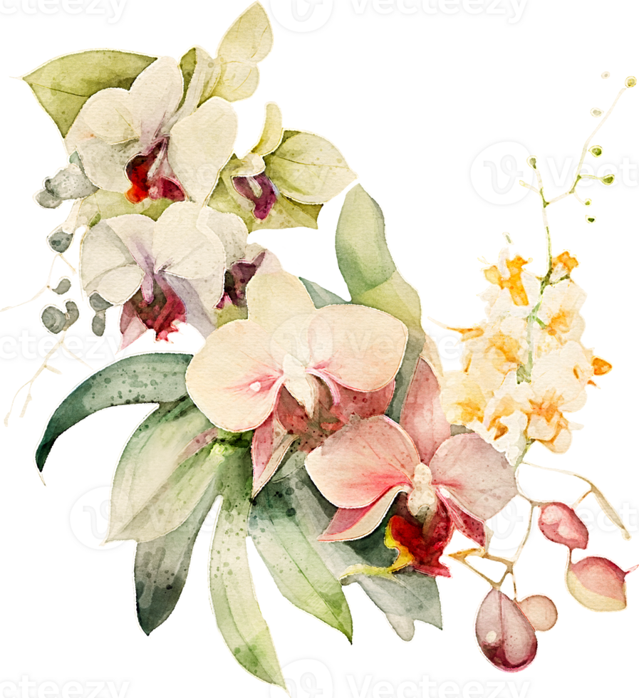 Watercolor Orchid Flower Illustration png