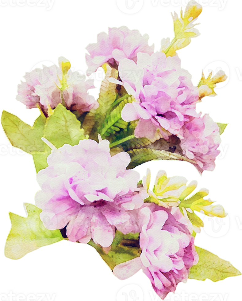 Watercolor Flower Illustration png