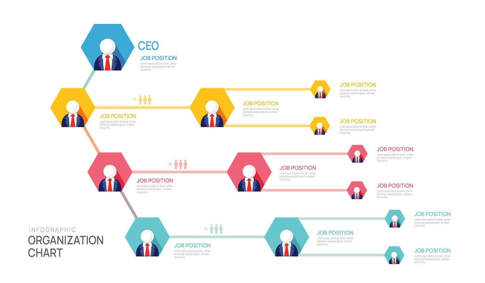 Infographic template for organization chart with business avatar icons. infographic for business. vector