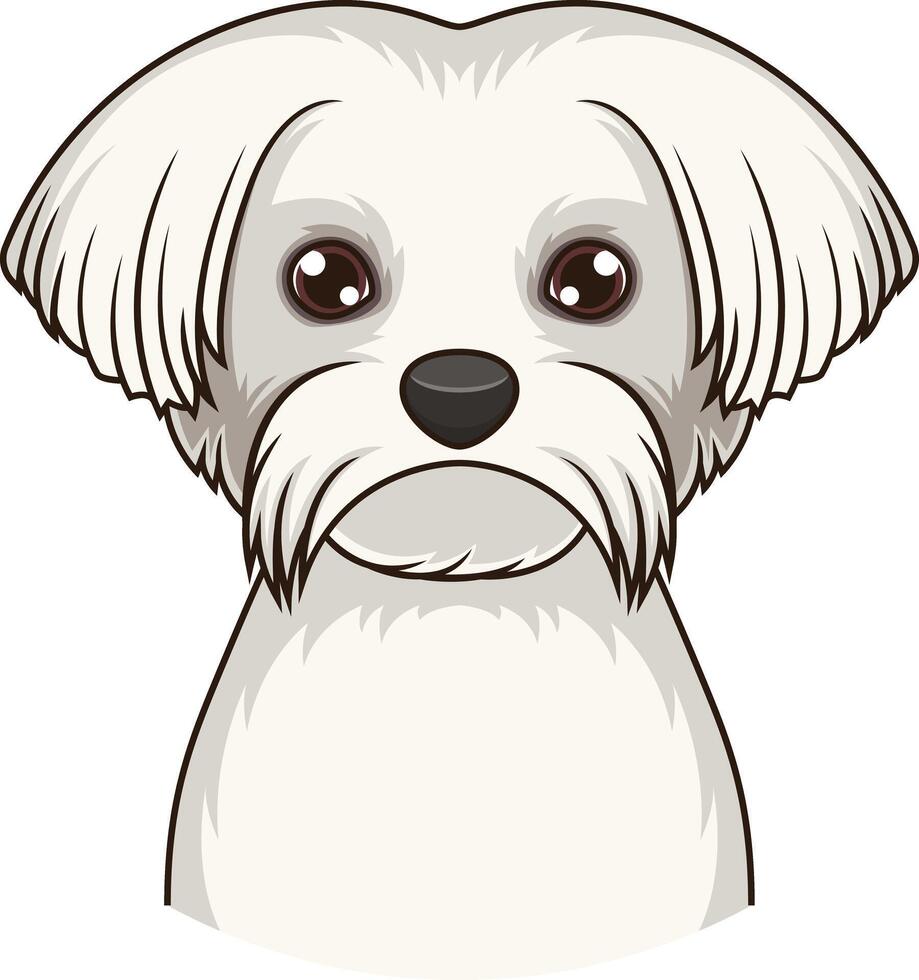 Maltese dog face illustration vector