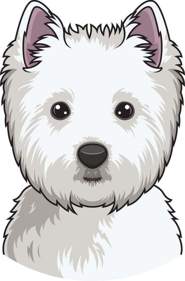 West highland white terrier face illustration vector