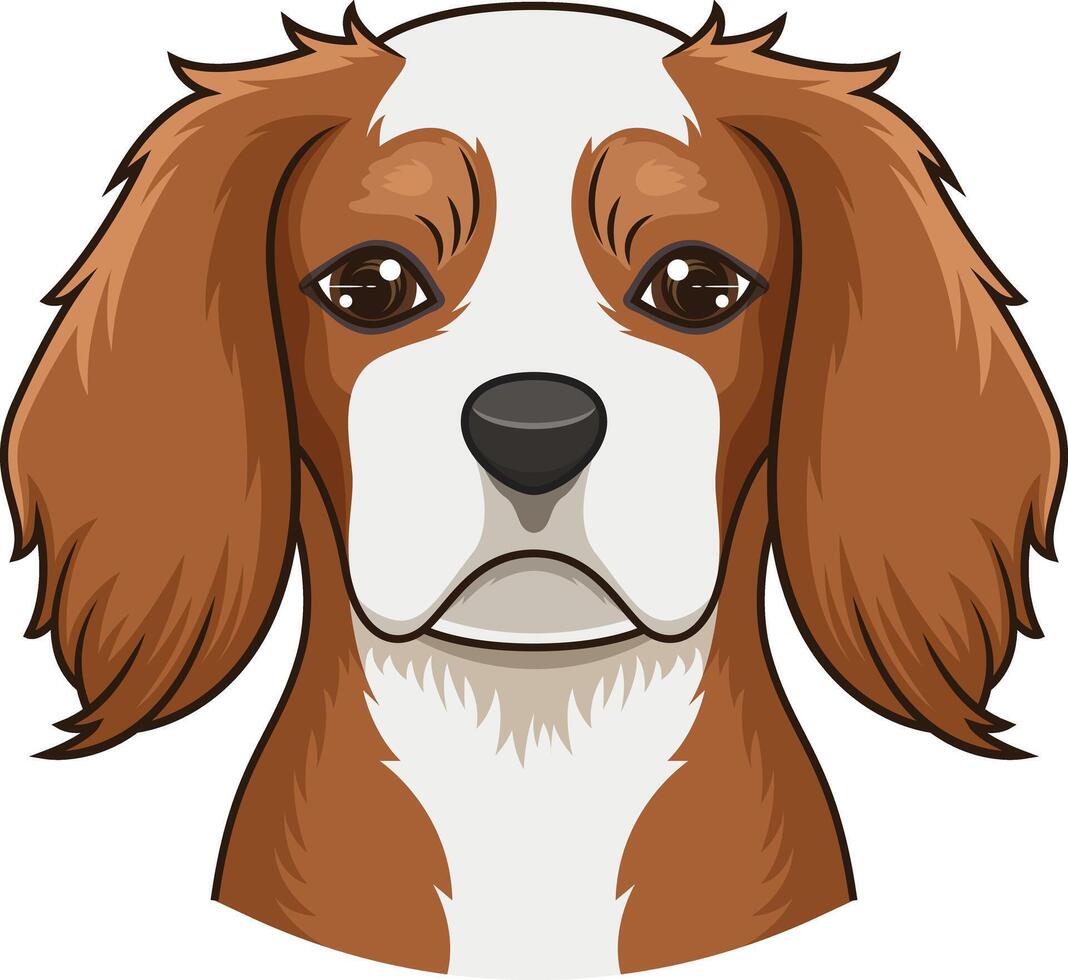 Cavalier king charles spaniel face illustration vector