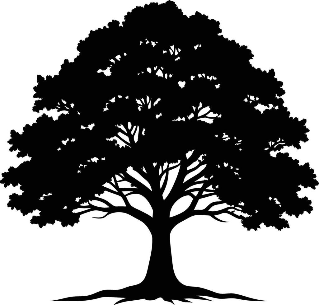 A oak tree with roots silhouette black vector