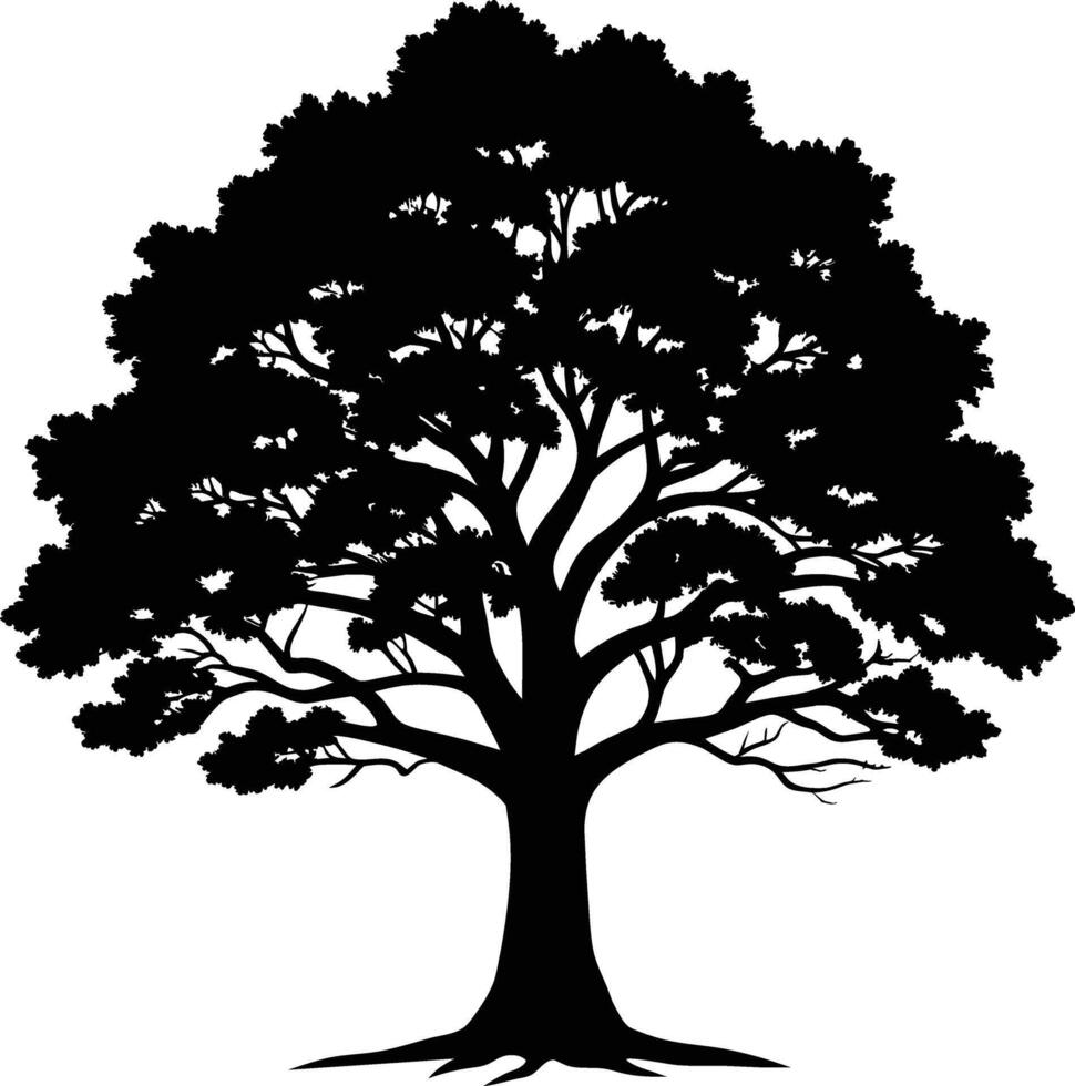 A oak tree with roots silhouette black vector