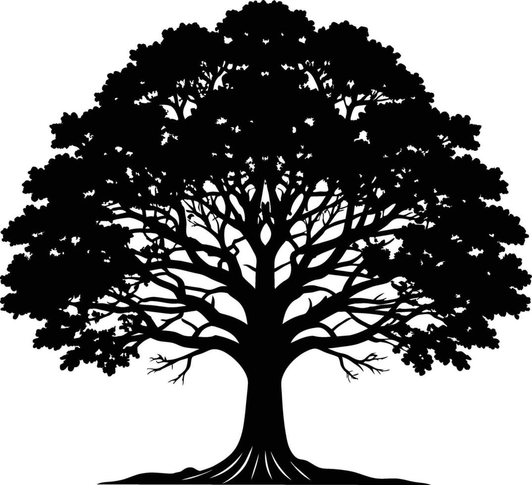 A oak tree with roots silhouette black vector