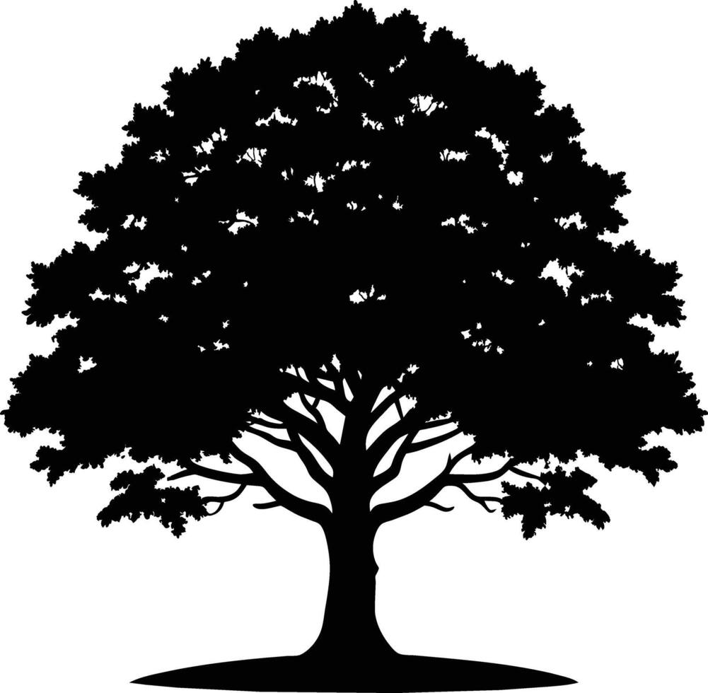 A oak tree with roots silhouette black vector