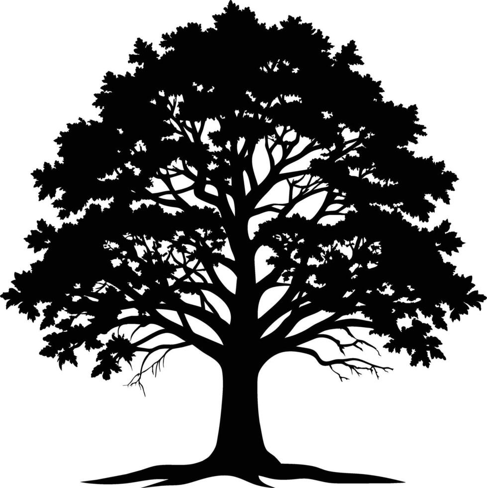 A oak tree with roots silhouette black vector