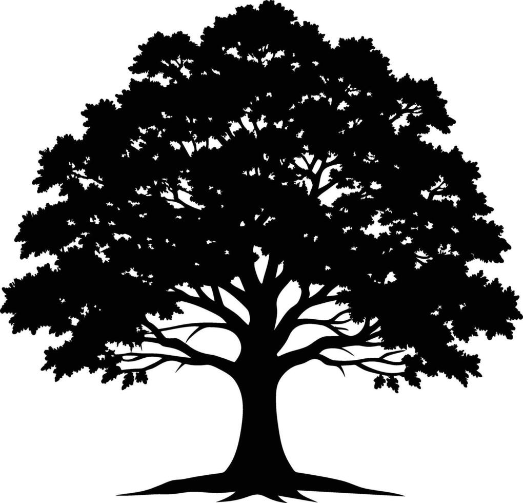 A oak tree with roots silhouette black vector