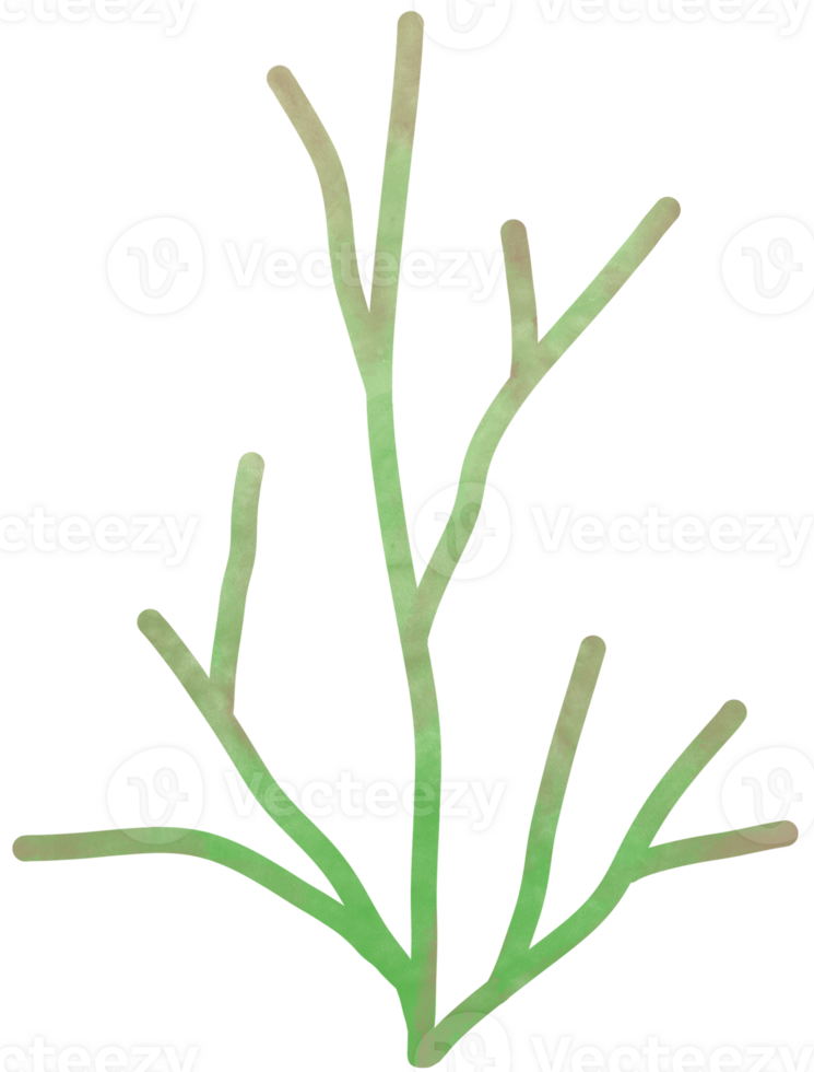 Simple botanical watercolors set png