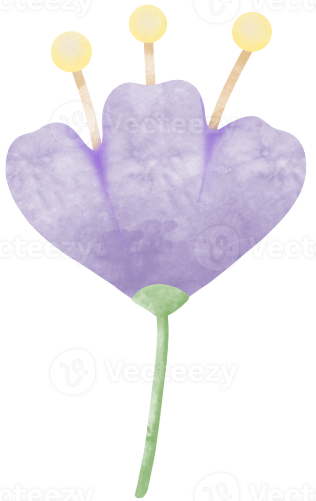 Simple botanical watercolors set png